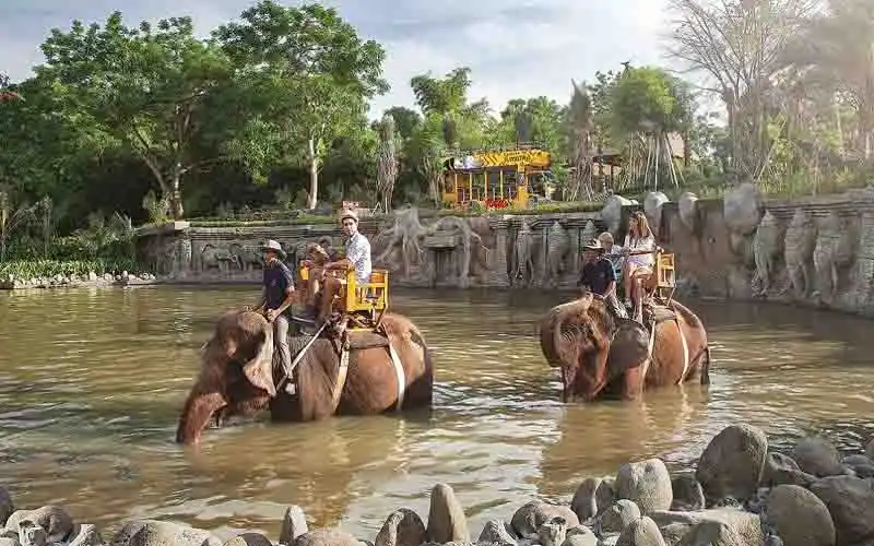 exclusive elephant ride
